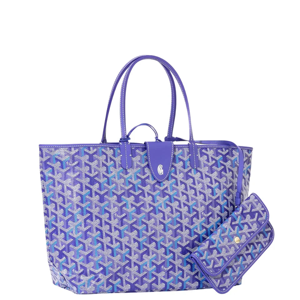 Goyard Saint Louis PM Bag Mulitcoloured